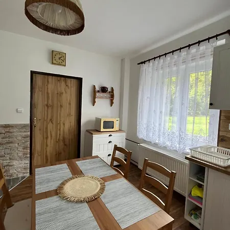 Pod Sjezdovkou Διαμέρισμα Český Jiřetín